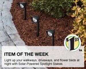 Solar-Powered Spotlight Stakes