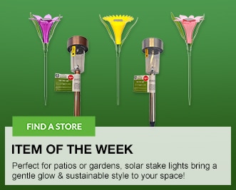 Solar Stake lights
