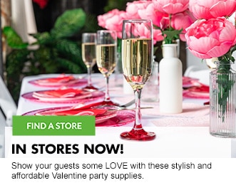 Valentine Party Supplies