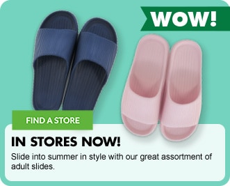 Adult Slides